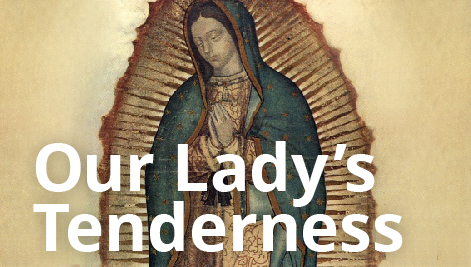 Vincente del Rio: Our Lady of Guadalupe Teaches Us How to Reach Out with Tenderness